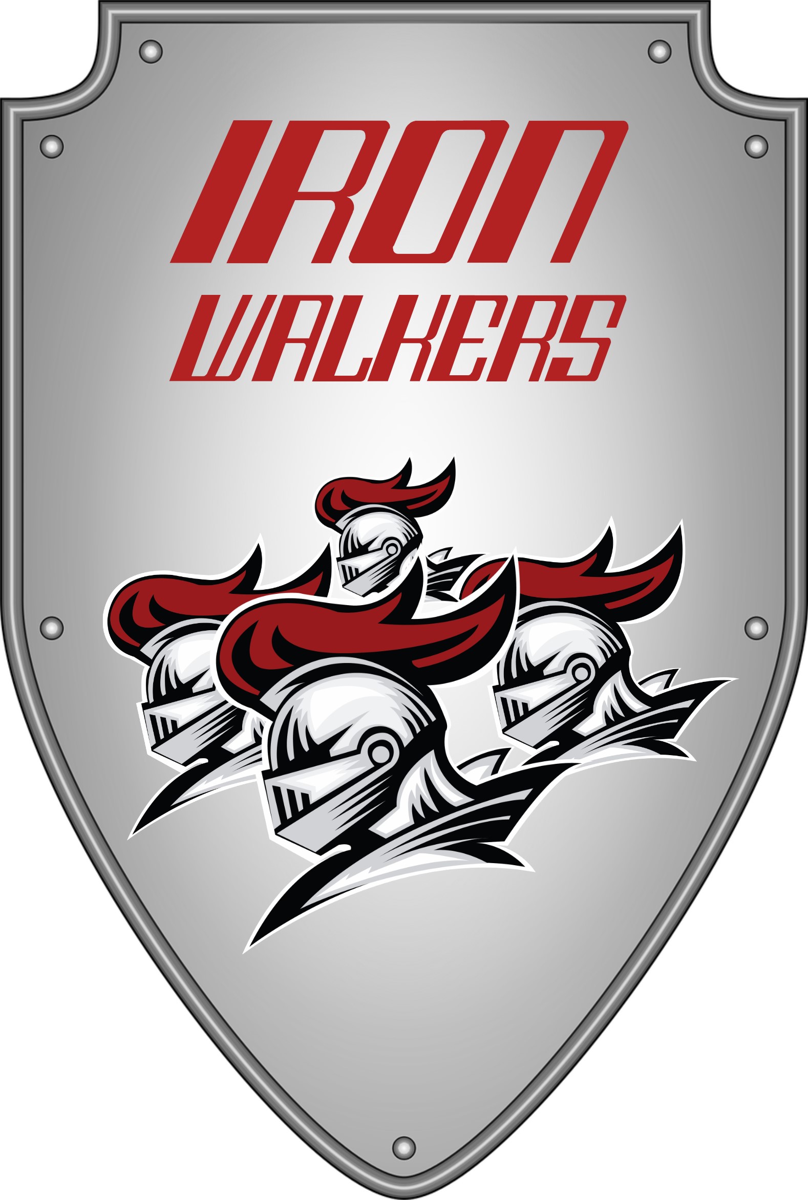 IRON WALKERS LLC